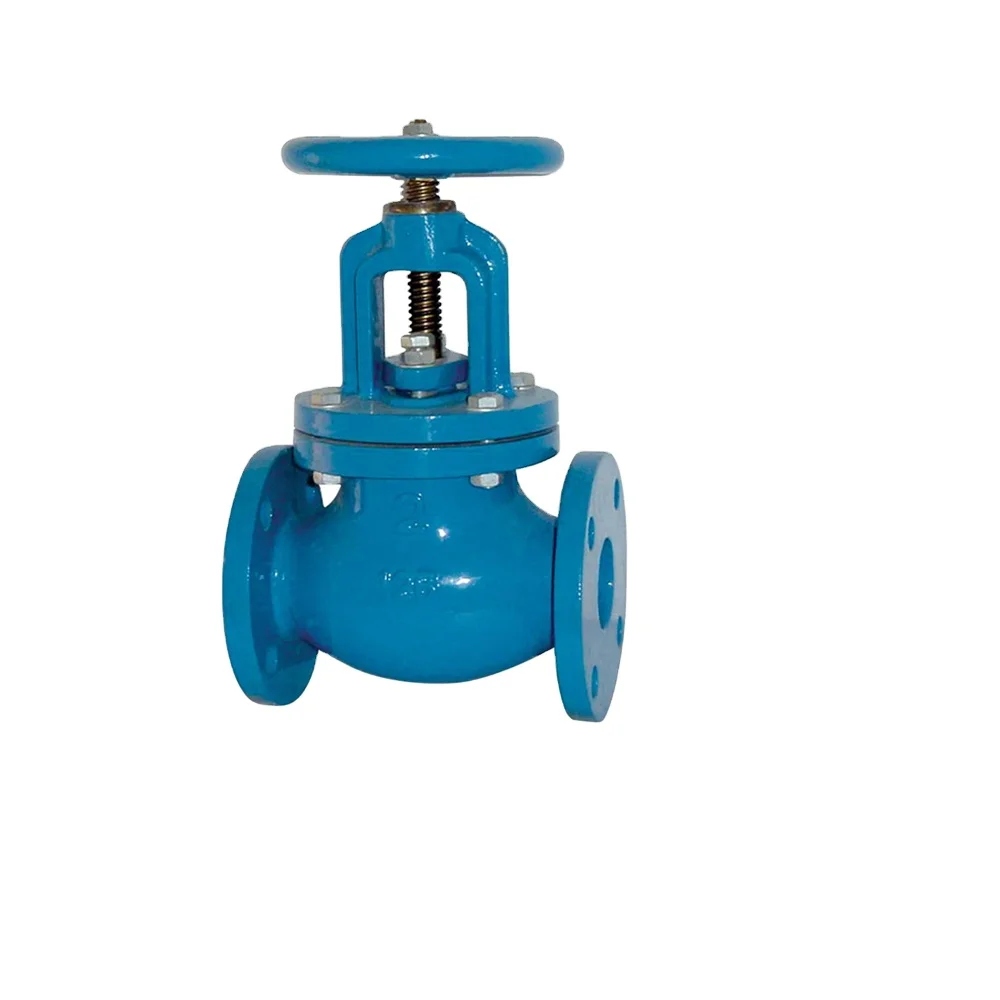 DIN Bellow Sealed Globe Valve GS-C25