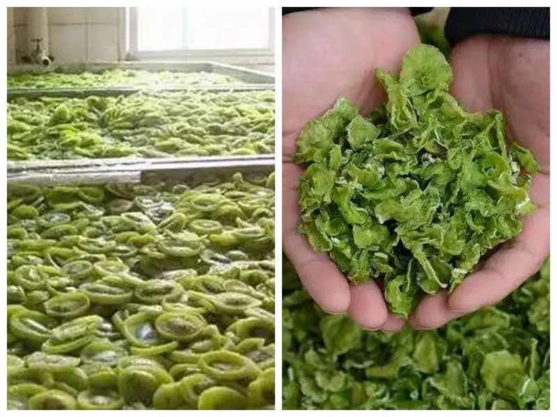 
Hot Air Recycle Heat Pump Industrial Blueberry drying machine Mulberry dehydrator fruit dryer oven vegetable dryer 