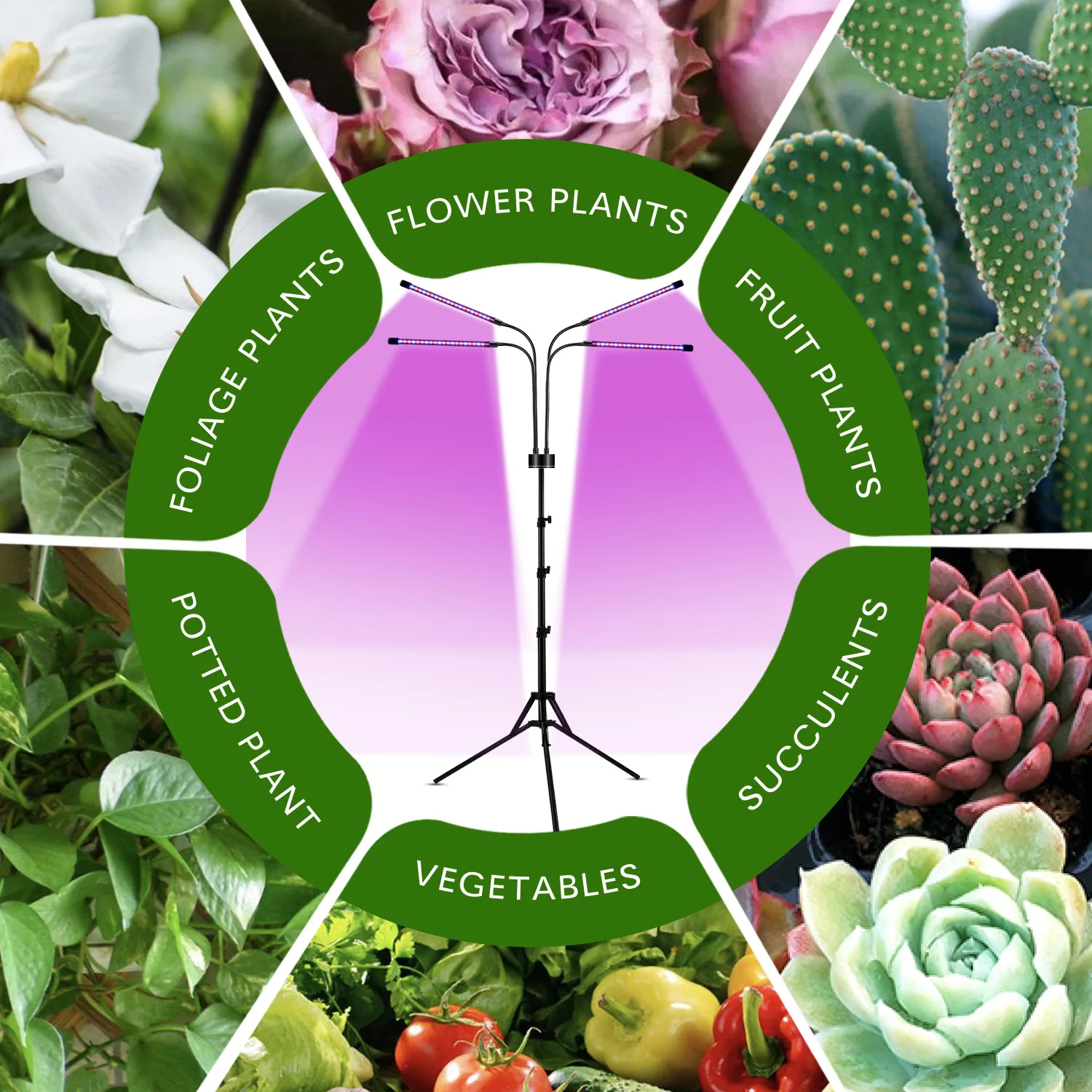 Folding tripod plant lamp LED four-head RF remote control plant lamp full spectrum plant growth lamp