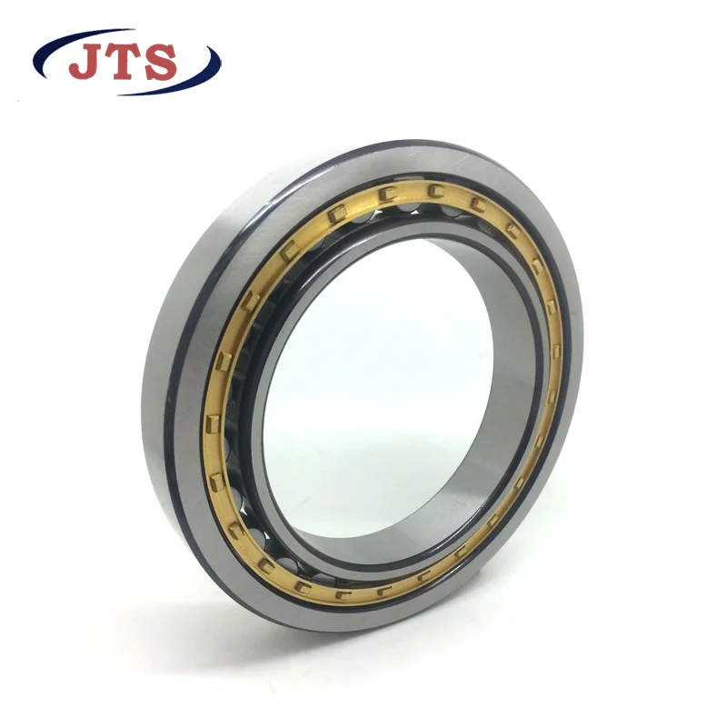 RN 204 Single row cylindrical roller bearings without outer ring RN204 20x40x14mm