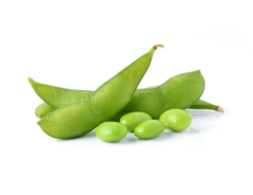 
long-term pass KOSHER bulk frozen organic edamame 