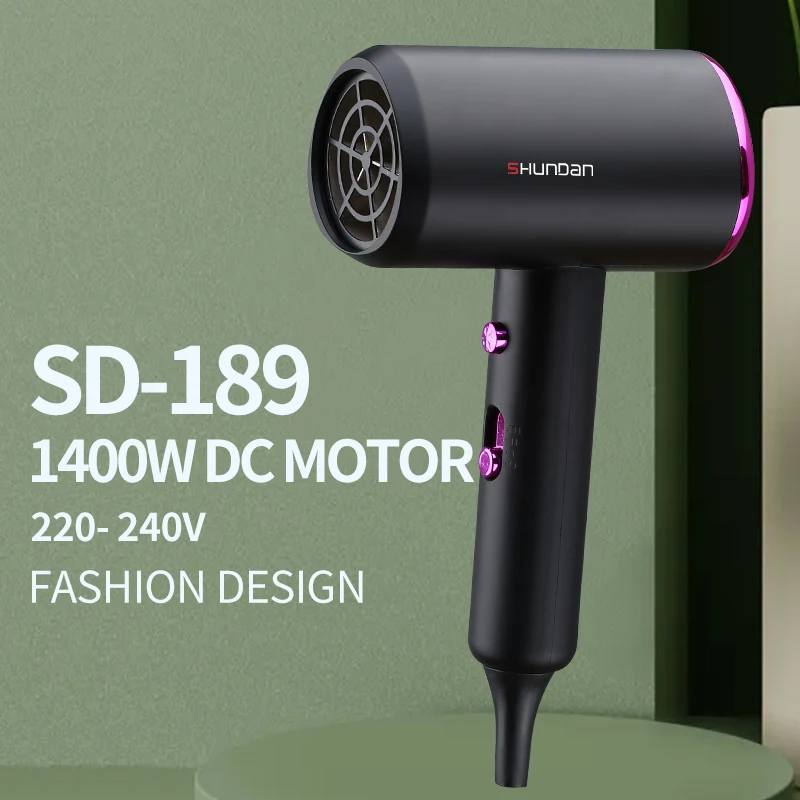 Professional DC Motor Ionic and Induction Function Professional blow Hair dryer