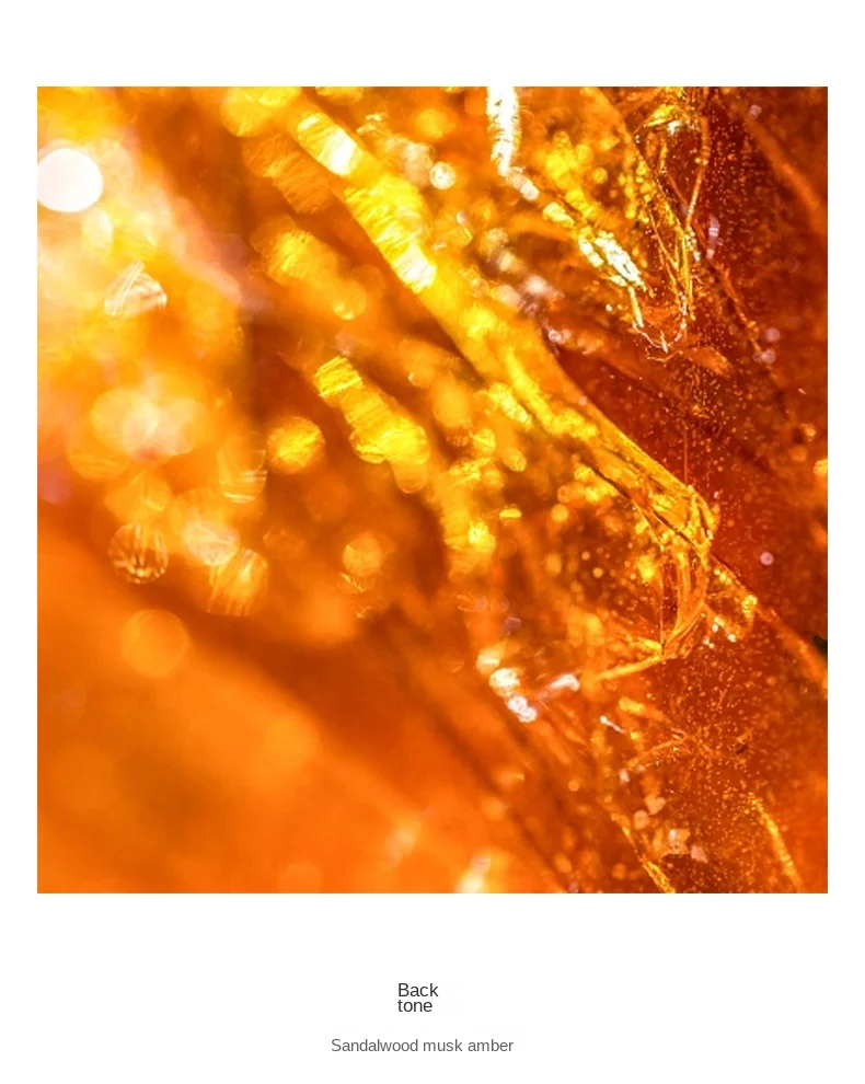 88FF26712185CBF39FA7850E25A9FF90