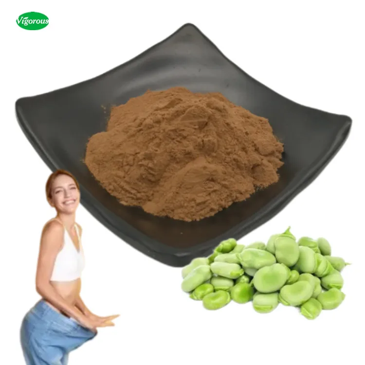 Bulk supply 10:1 Vicia faba powder broad bean protein powder organic Broad bean extract powder
