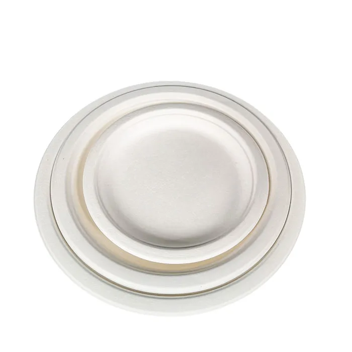 eco friendly biodegradable disposable sugarcane pulp plates