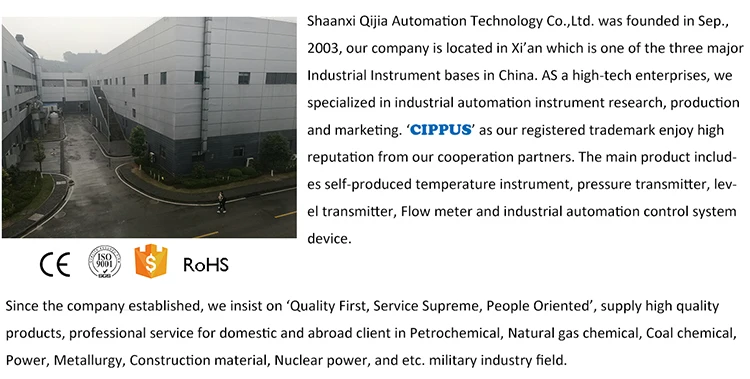 Company introduction 2