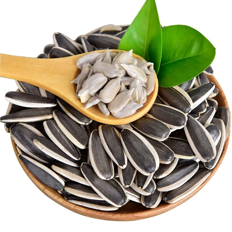 2024Year Supply Sunflower Seed 363 361 601 From China