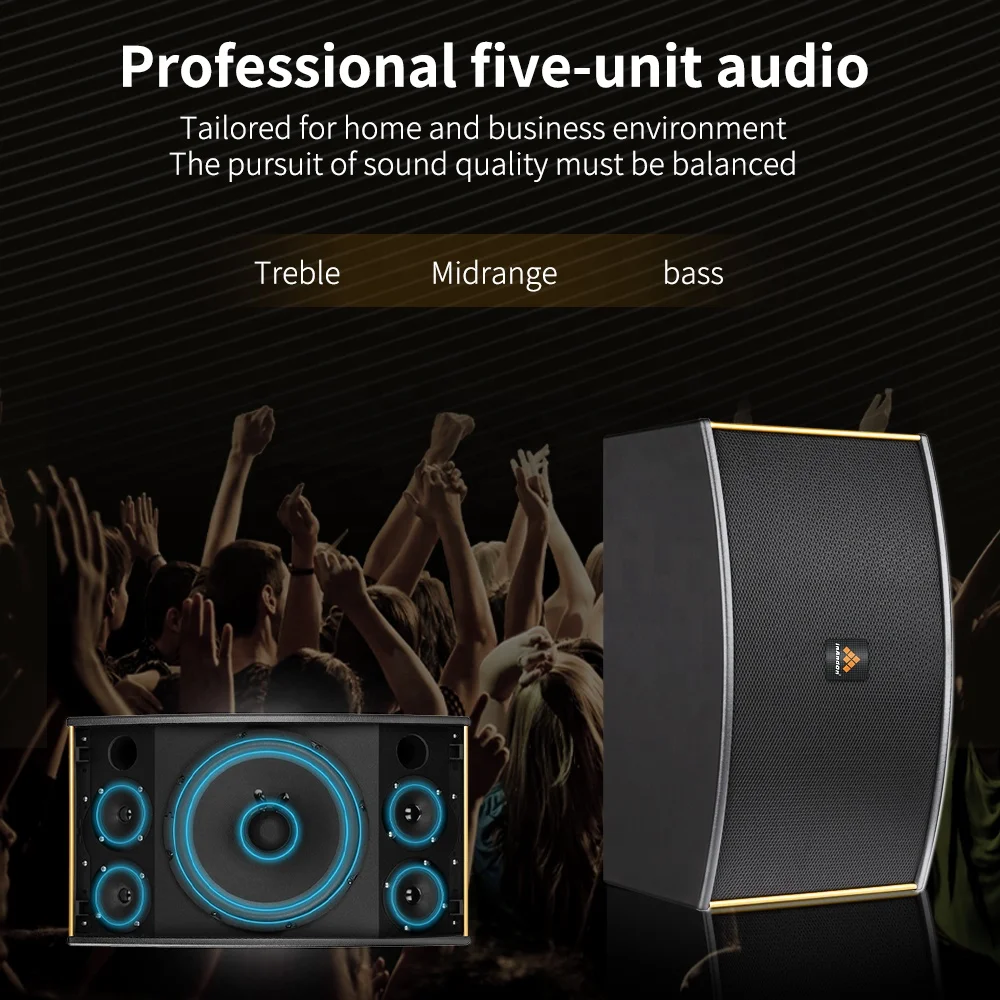 InAndOn 10 inch Black Matte Iron Mesh Professional KTV Karaoke Audio Set Entertainment Set Sound Equipment Home Theater Speaker