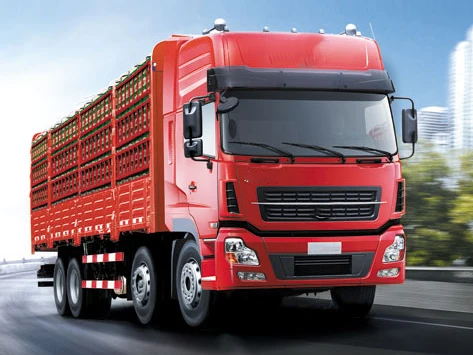 190HP 6x4 10 тонн грузовой грузовик с высоким качеством