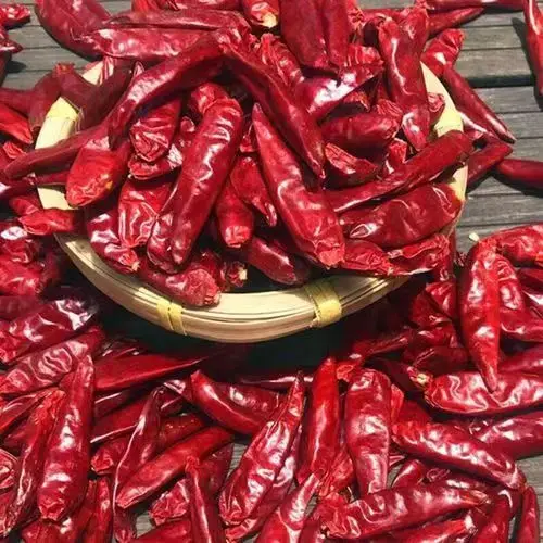 Hot Selling Cheap Whole Dried red extra hot chilli Spice too spicy good quality chilli