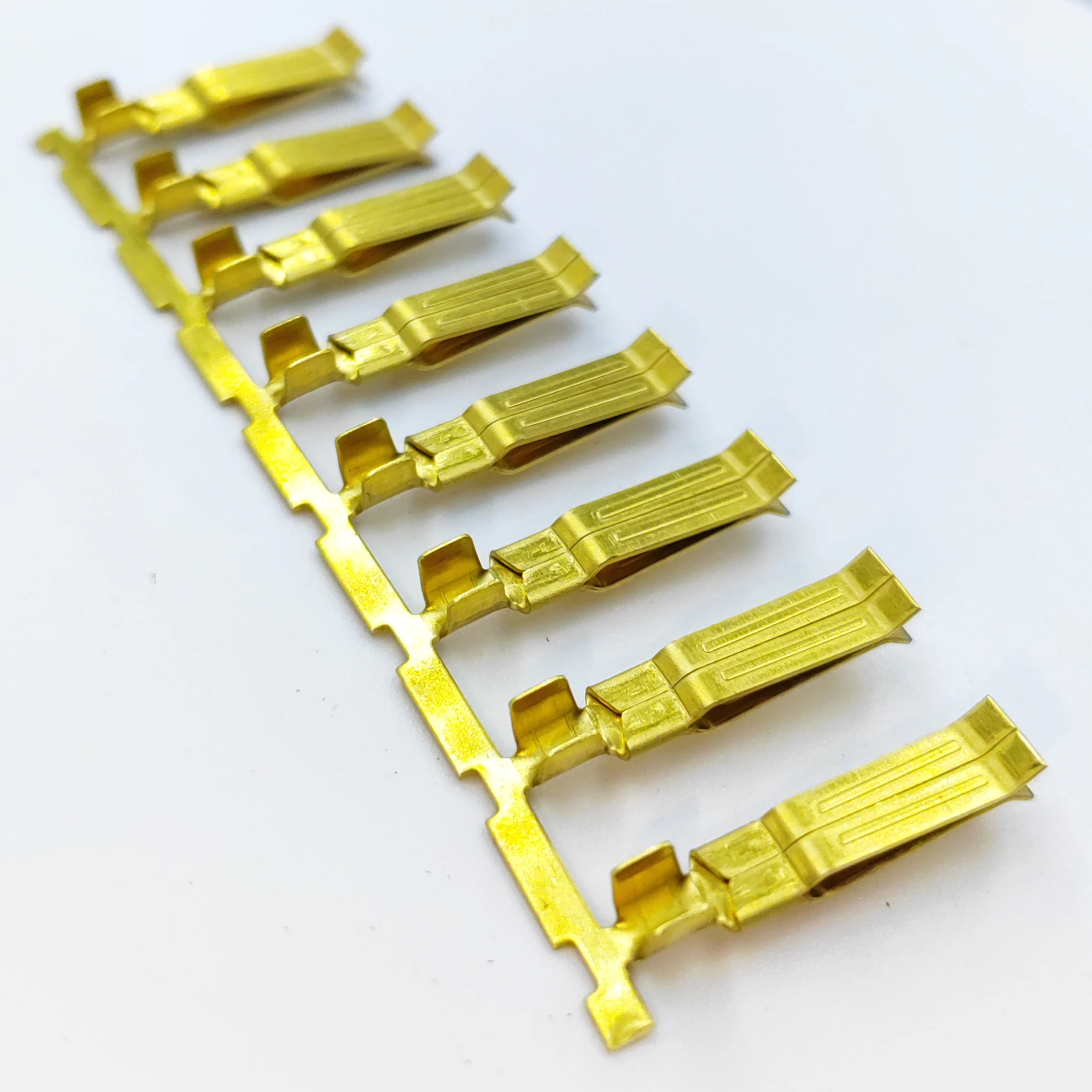 American plug inserts a thing rules three put a support American insert a plug The beautiful mark puts a slice