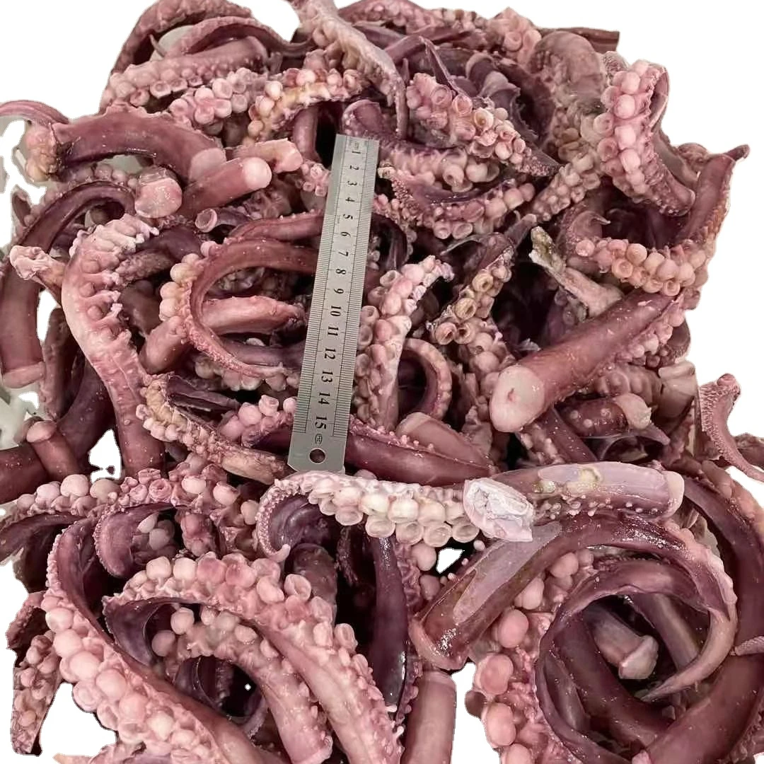 
Squid calamary sleeve-fish Frozen whole squid 2021 hot sell high quality nutritious seafood 