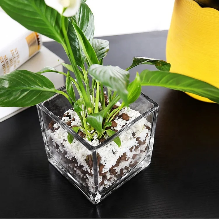 2024 Multi-size Clear Glass Vase Decorative Centerpiece for Home/Cubed Flower Glass Vase
