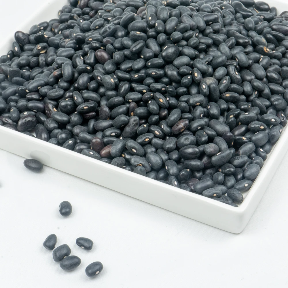 
new crop premium grade china black beans 