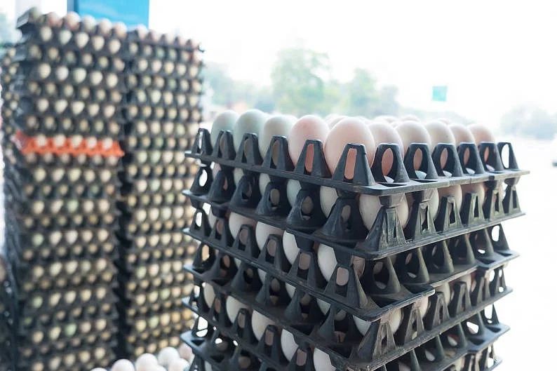 High quality Stackable and durable 30 Hole Farm Chicken Plastic Egg Shakers transport packing Crates Grille Egg Trays for Save