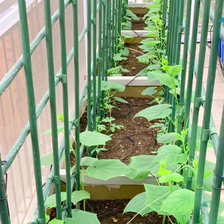 New Design Quality Outdoor Garden Stakes Plant Support Stake Sticks Tomato Hot Pepper Climbing Plants Outdoor Gardening Supplies