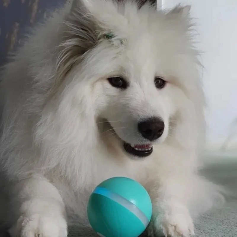 Wicked Ball New Design Pet Dog Cat Toys Interactive Toy Electric Automatic Companion Cat Playing Ball  Dog Training ball