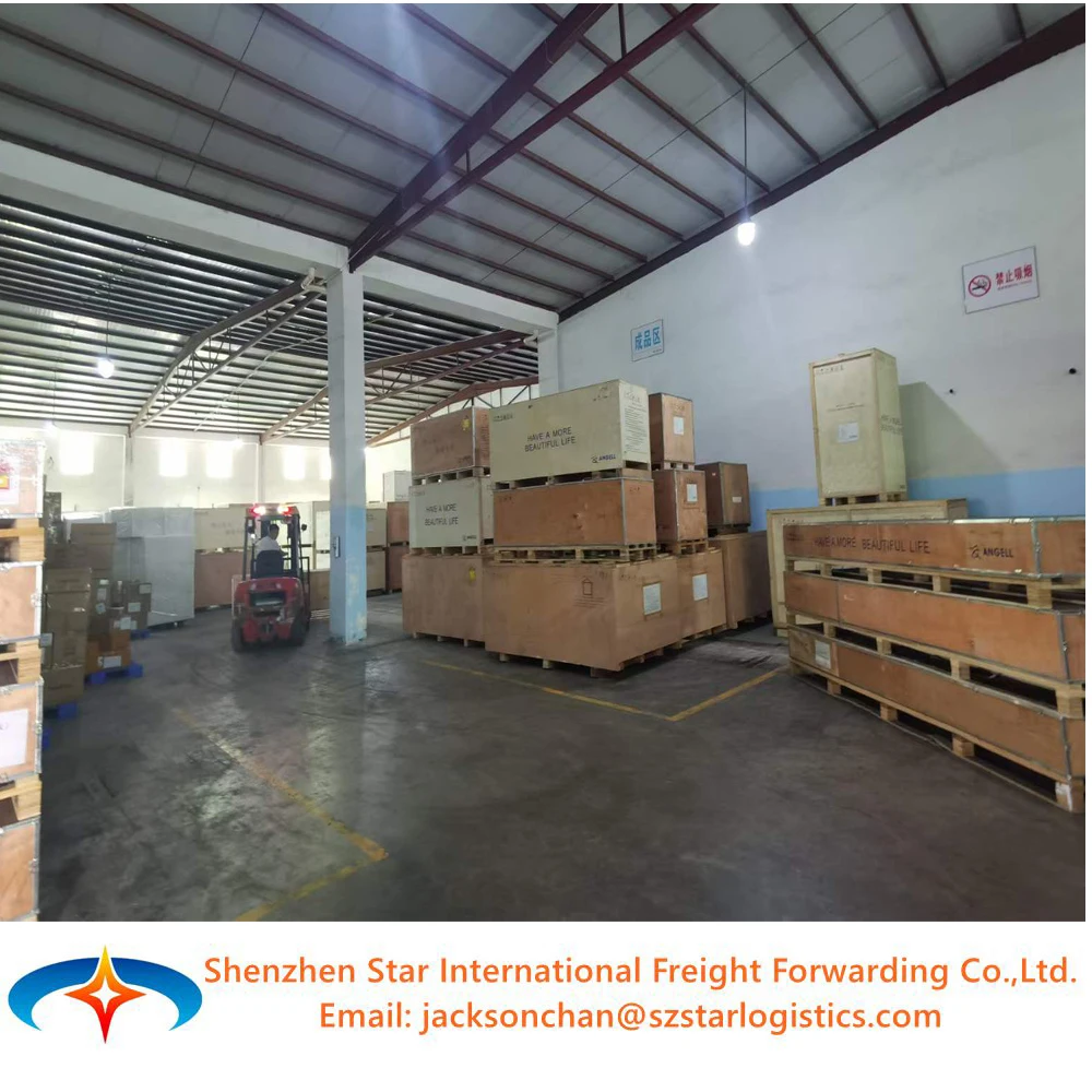 Top 10 China freight forwarder free collect/consolidation/warehouse service and shipping to Czech Slovakia Austria Hungary.