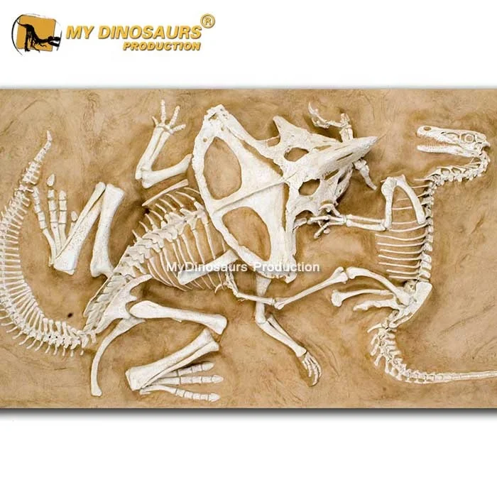  MY Dino DS078 ископаемая грунтовка динозавра