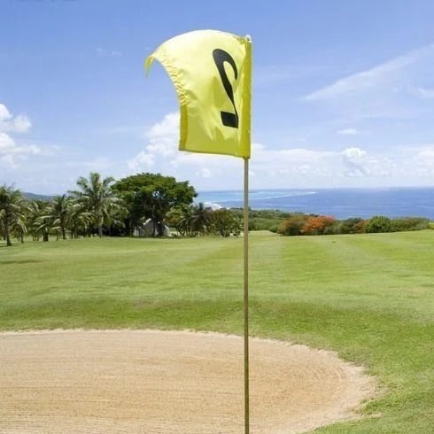 best price masters head plastic material cover sticks pin golf flag