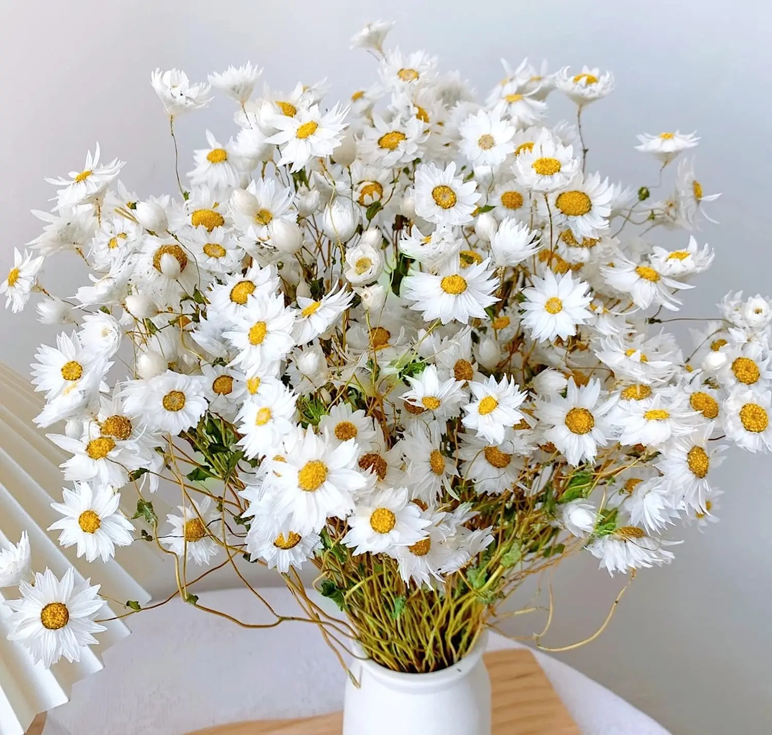 Dried Daisy White Flowers Real Chrysanthemum Rhodanthe Daisies Flower Head Length 17' Gerber Daisies for vase Bouquet