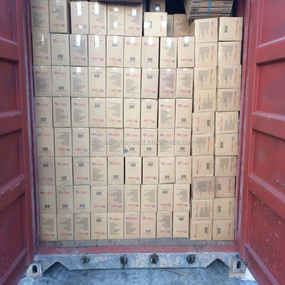 Pure Natural Nutritional Instant Dry Yeast Low Sugar for Bread