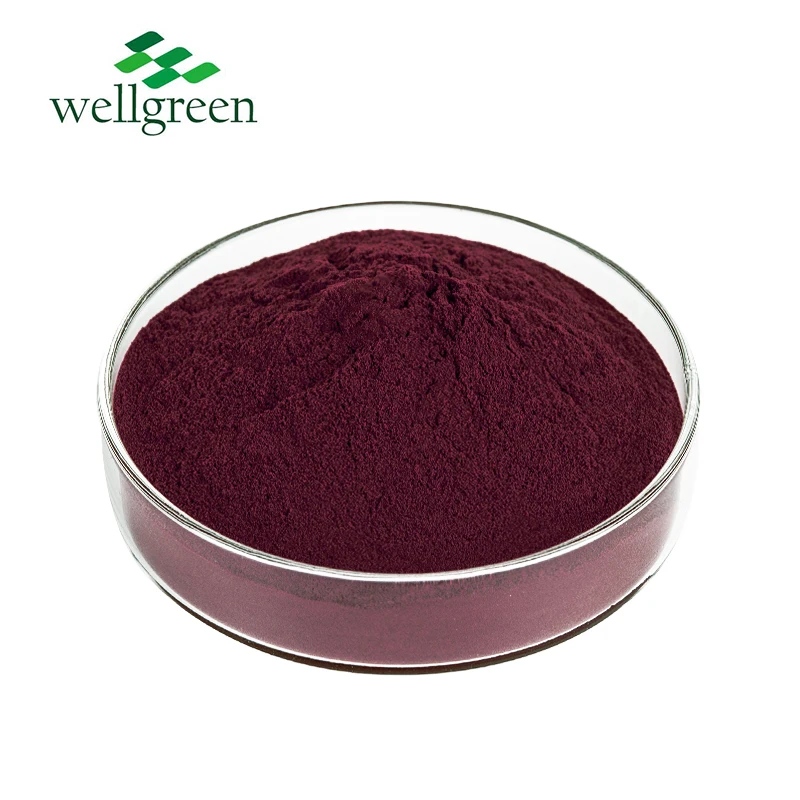 Wellgreen органический USDA черный порошок ягод годжи сублимированный Порошок Годжи