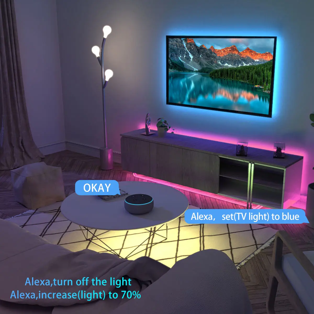 Fashion Smart Wifi Bluetooth LED Light Strip12V 24V 5M 10M RGB Outdoor Flexible 5050 SMD RGB LED Strip Lights