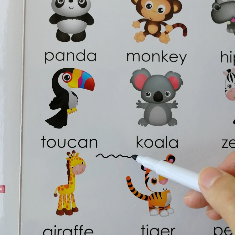 OEM ODM детская стираемая книга для письма с ручкой воды и мелком