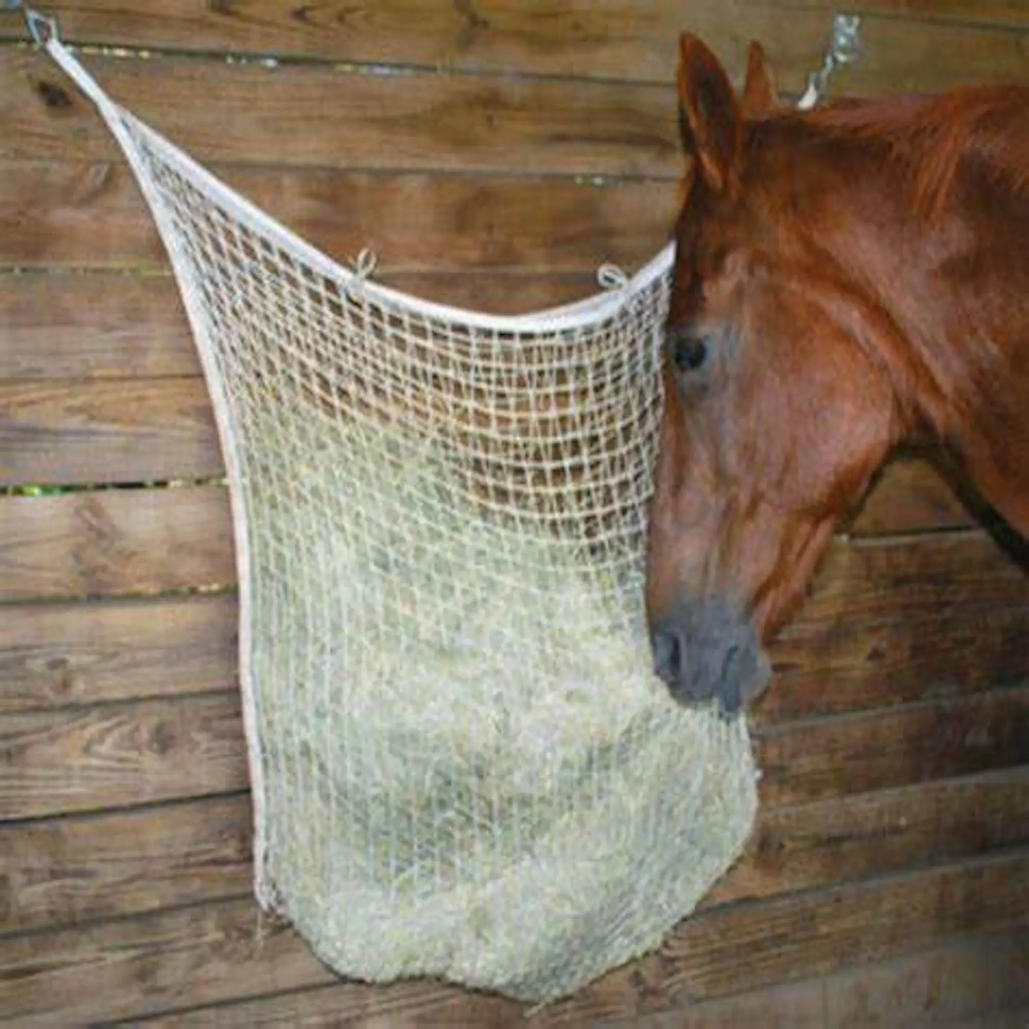 factory horse care products ridding first-horse