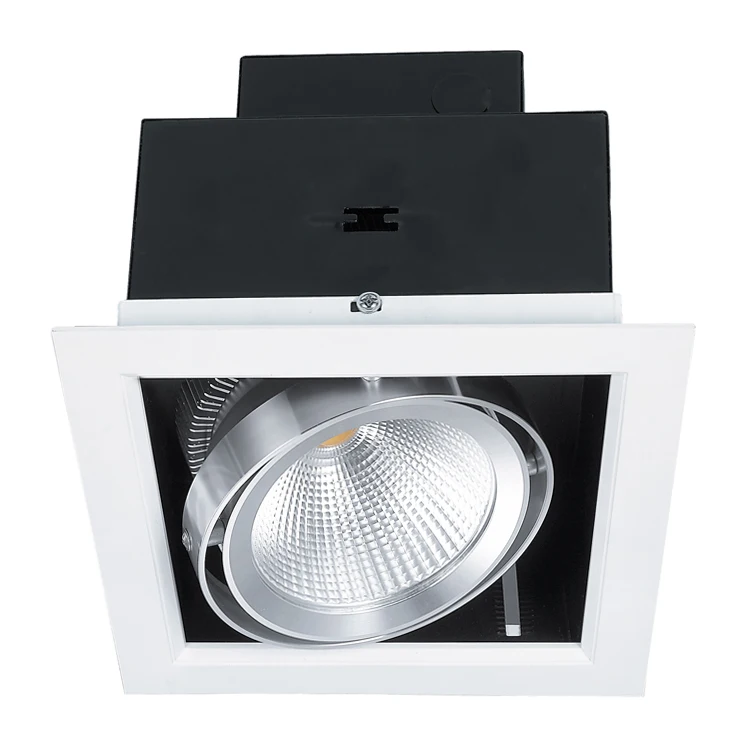 RONSE Recessed Cob 2*10w 2*20w 3*10w 3*20w Cob Home Grille Lamps Spot-it 360 Adjustable Grille Led Light Showroom Grille Lights