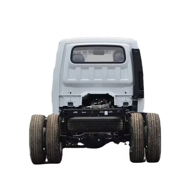 Mini Dongfeng diesel Truck Export to South Arercan Country