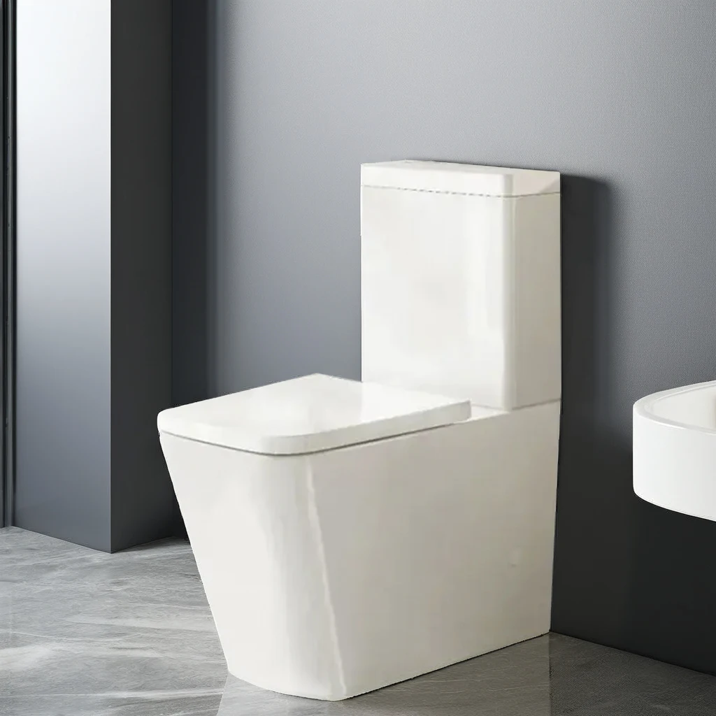 Toilette igbonse les chiottes Sanitary Ware Commercial Toilet with Dual Flush Cistern - Water Saving Durable Reliable