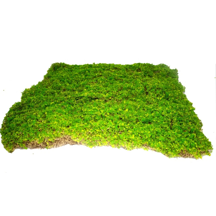 Artificial green moss 50cm x 50cm for vertical base application