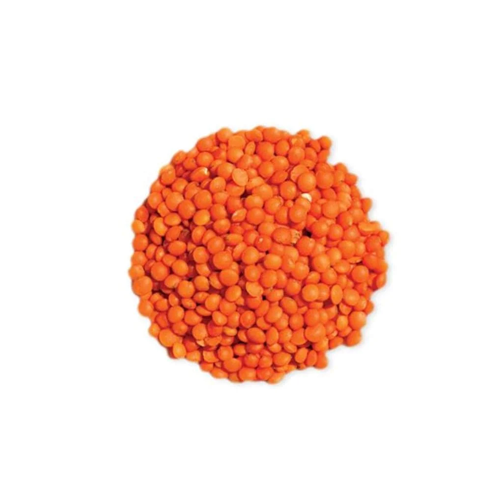
Red Lentil 