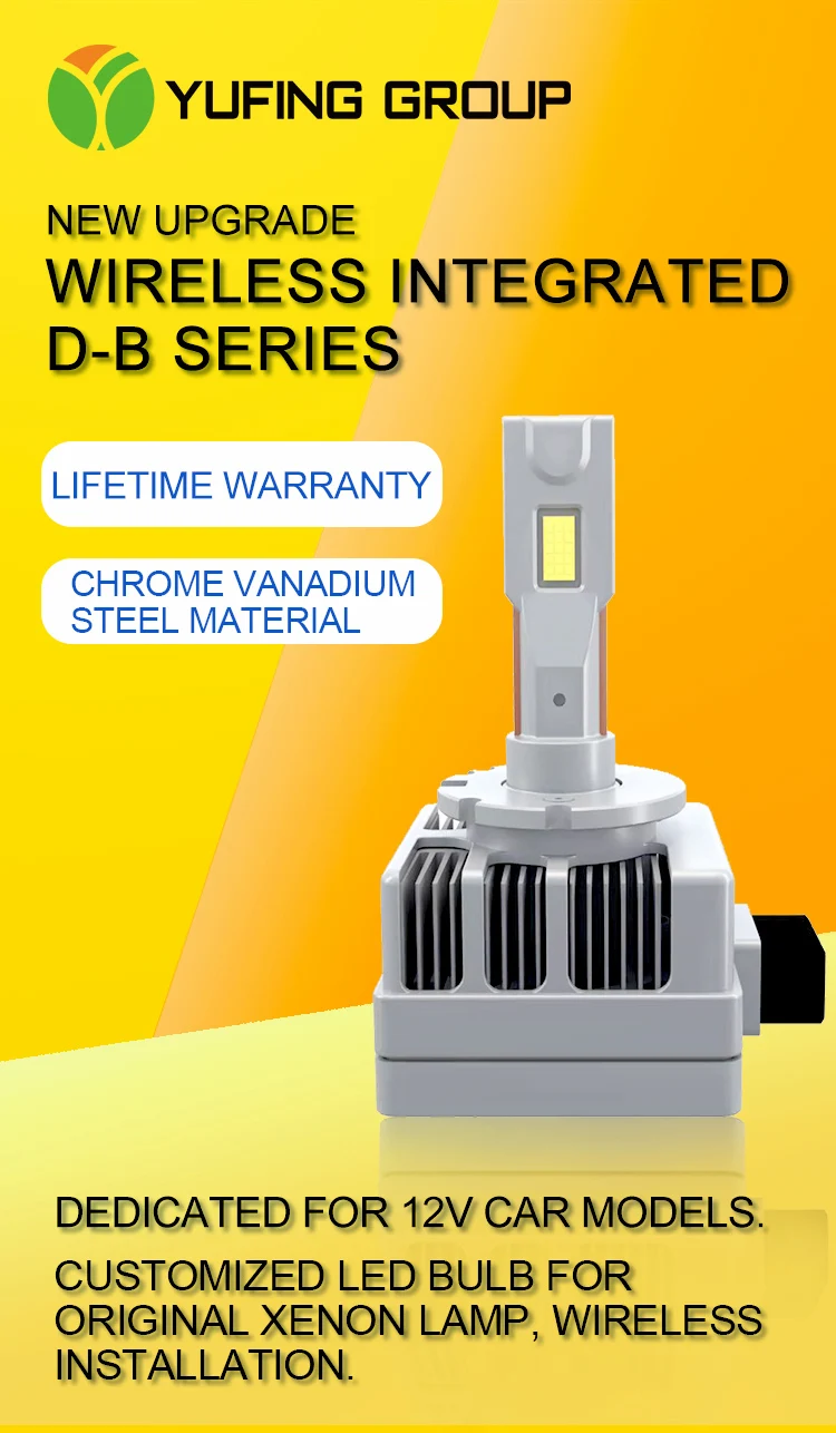 D-B_01