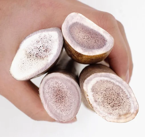 Китайский олень Олень жевать палочки для собак и кошек зубные зубы экологически чистые XL игрушка плюшевый в сумке