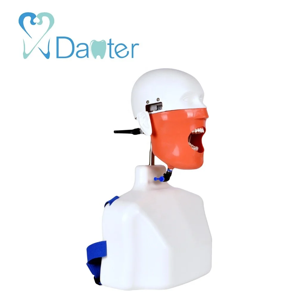 Dental Equipment Lab Educational Supplies Dummy Manikin Phantom Head with Typodont teeth model for Practice