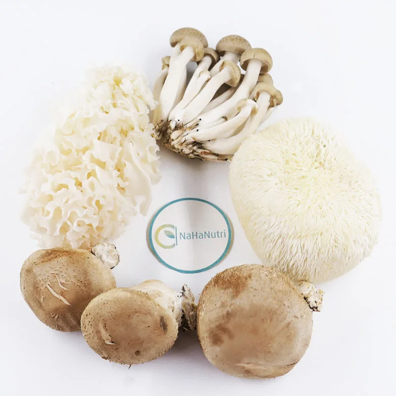 
High Quality immunity enhancing mushroom reishi spore powder 