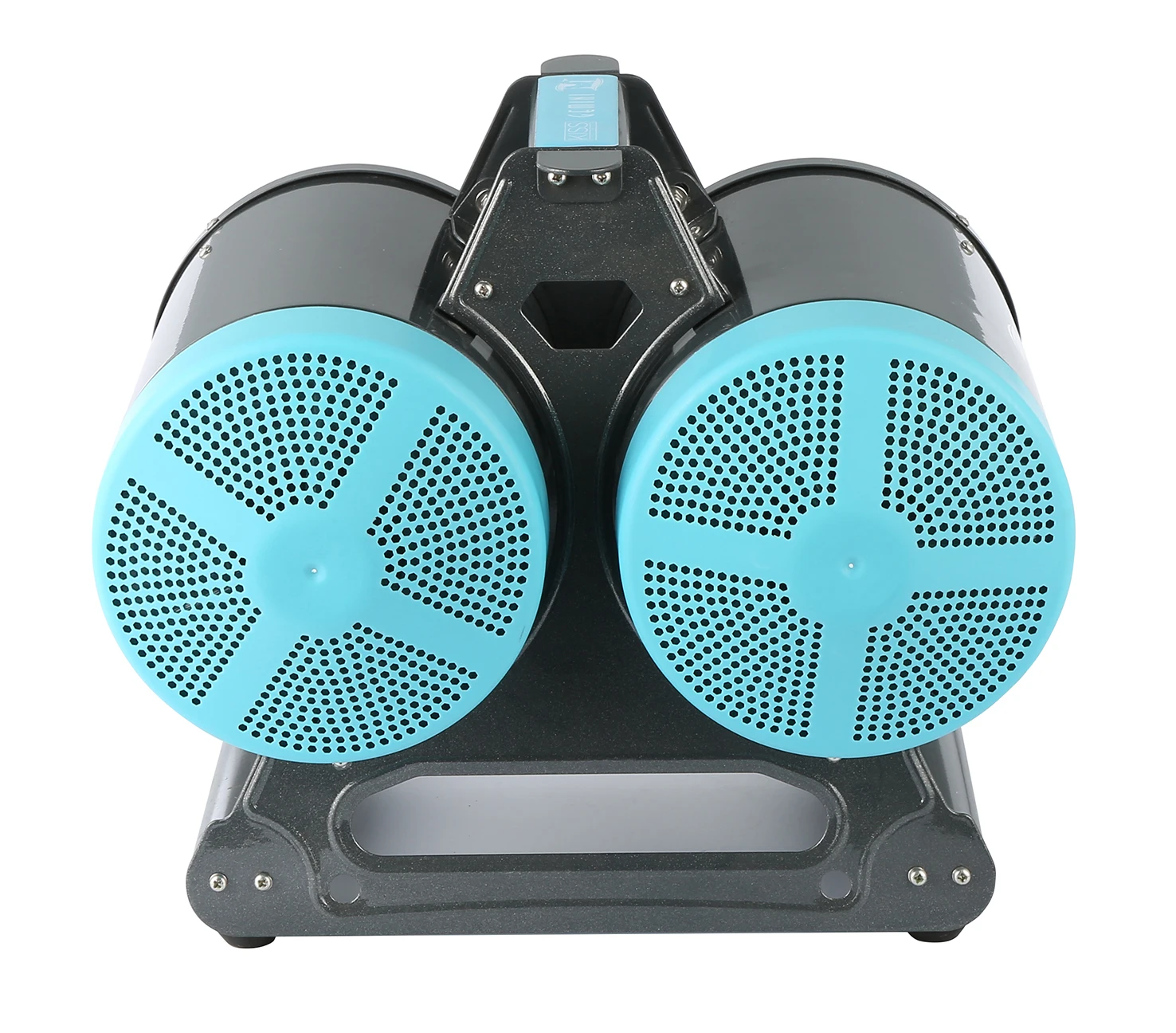 TD-900CG Aeolus Wholesale Striking Blow Force 1250grams Gemini Parallel Dual Motor Hair Dryer for