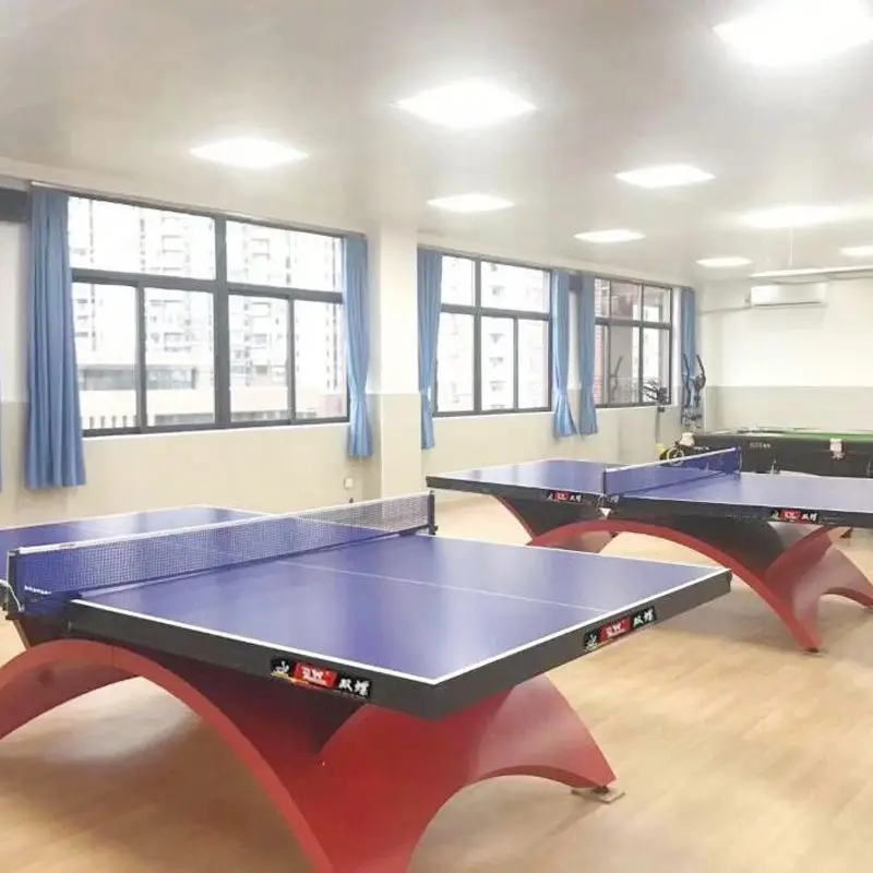 2020 Portable Table Tennis Ping Pong Tables For Playing