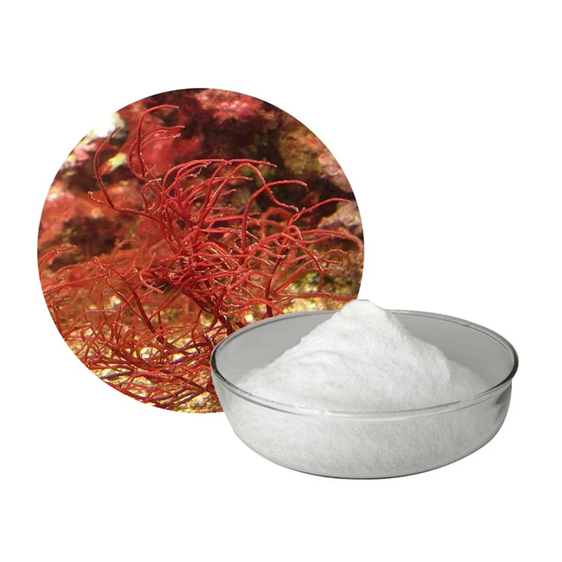 Hot Selling Healthy Food Ingredient Premium FoodGel Semi Refined Carrageenan