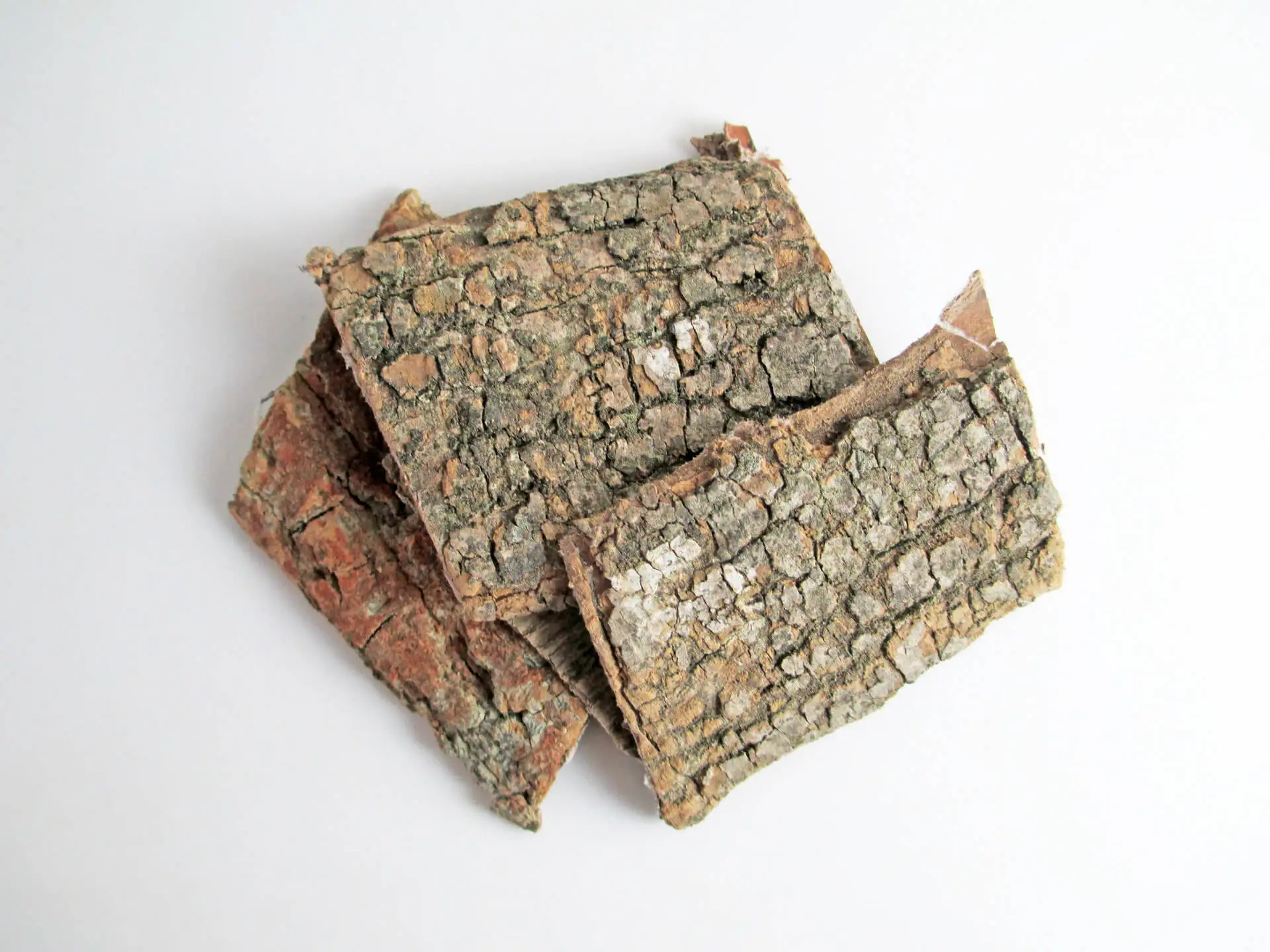 Wholesale Factory High Quality Popular Chinese Herb Tree Bark Chinese Medicine Dried Eucommia Ulmoides