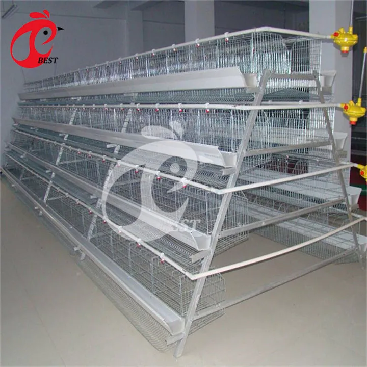 Direct Factory Metal Chicken Cage for Sale for Wholesales