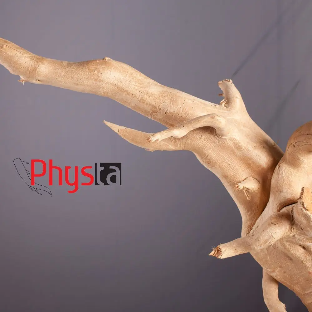 Halal Eurycoma Longifolia Extract Powder Food Ingredient Water Based Nutritious Tongkat Ali Root Extract Powder