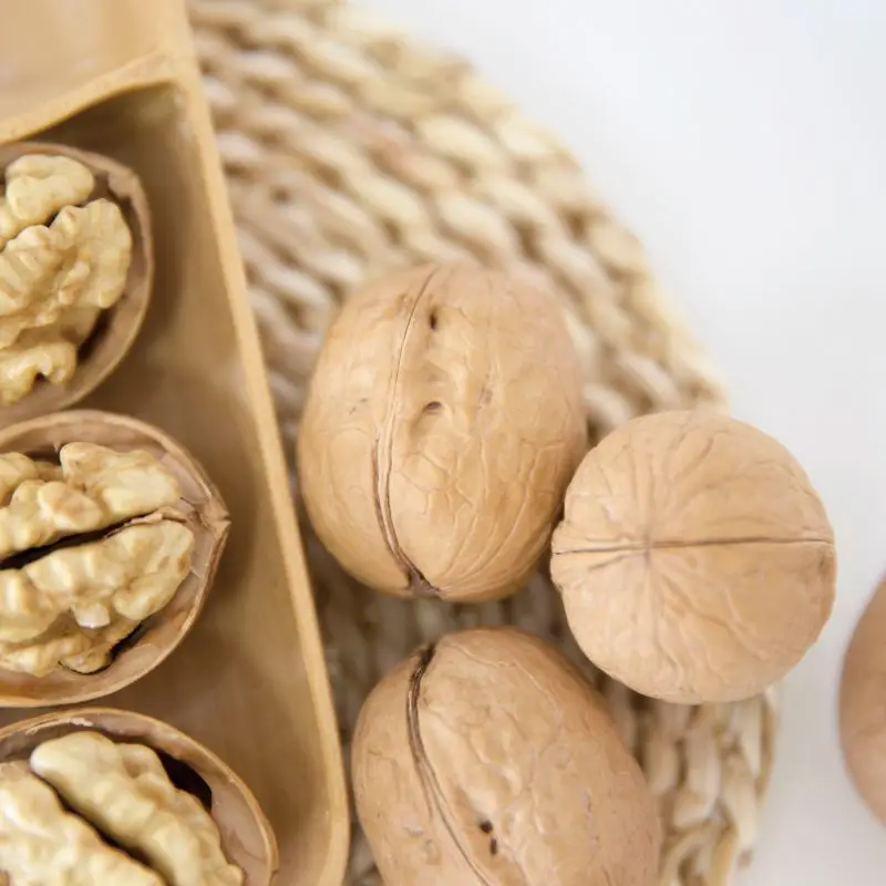 chinese top grade wholesale walnuts walnuts 185 xinjiang inshell  price