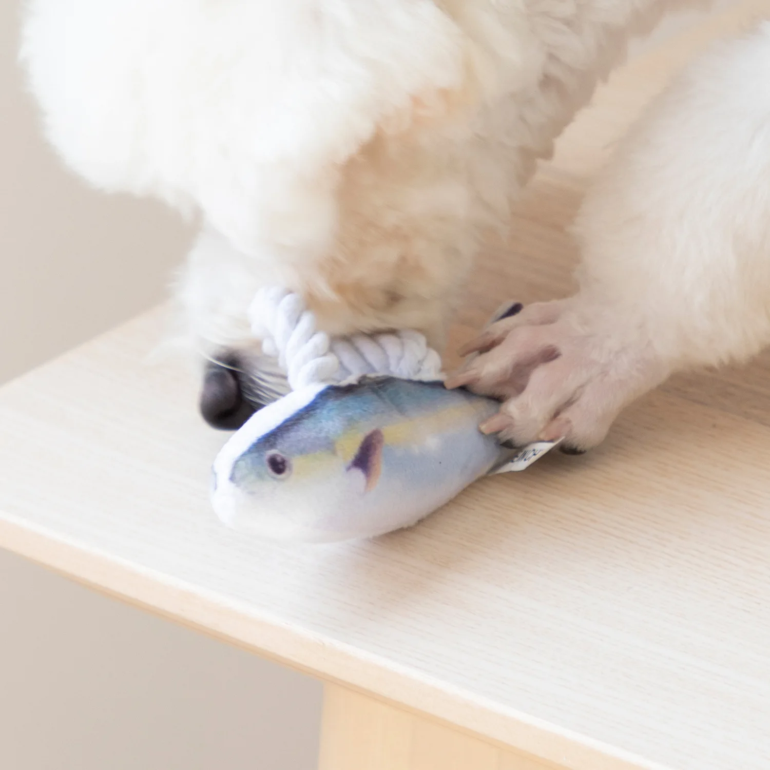 Custom Squeaky Dog Stuffed Animal Plush Toys Interactive Soft Cat Fish Toy Durable Pet Chew Toys with Cotton Rope