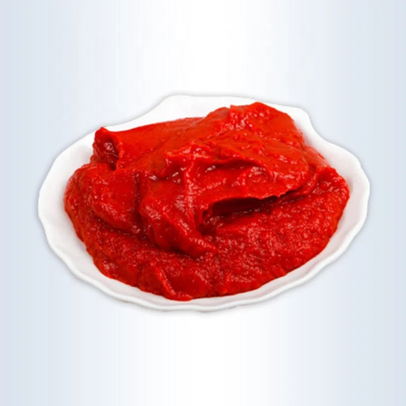 Manufacturer High Quality Tin Tomato Paste canned 70g/400g sachet ketchup supplier for Africa market