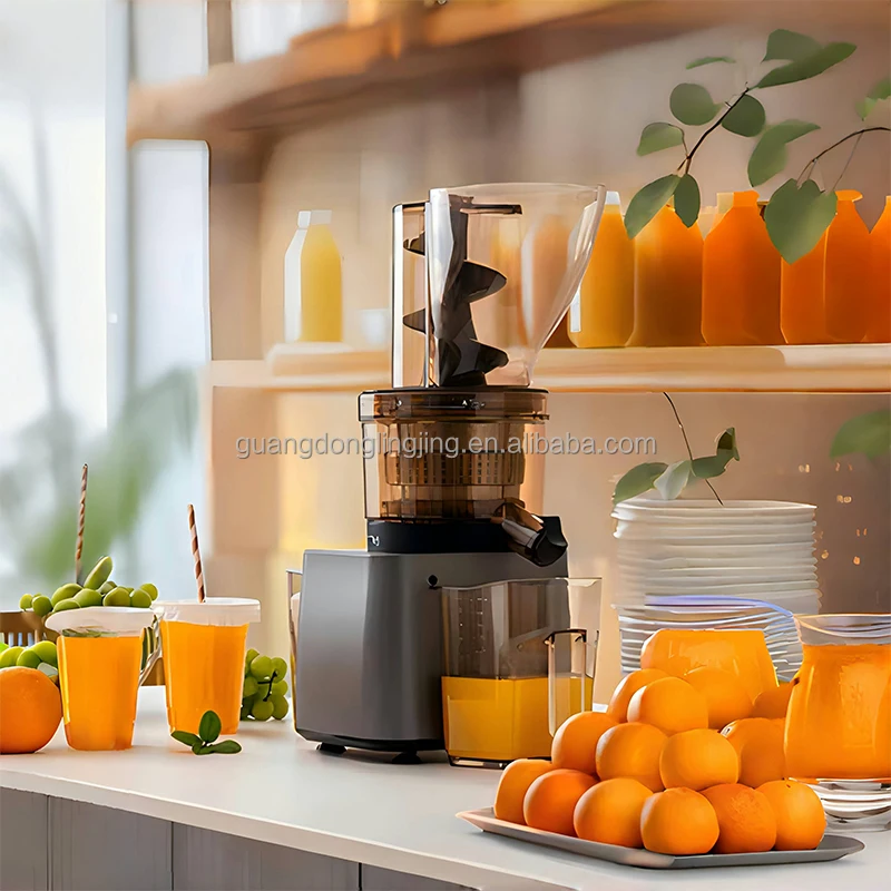 500W Citrus Orange Lemon Juice Extractor Squeezer Cold Press Slow Commercial Juicer Extractor Machine For Juice Bar Cafe