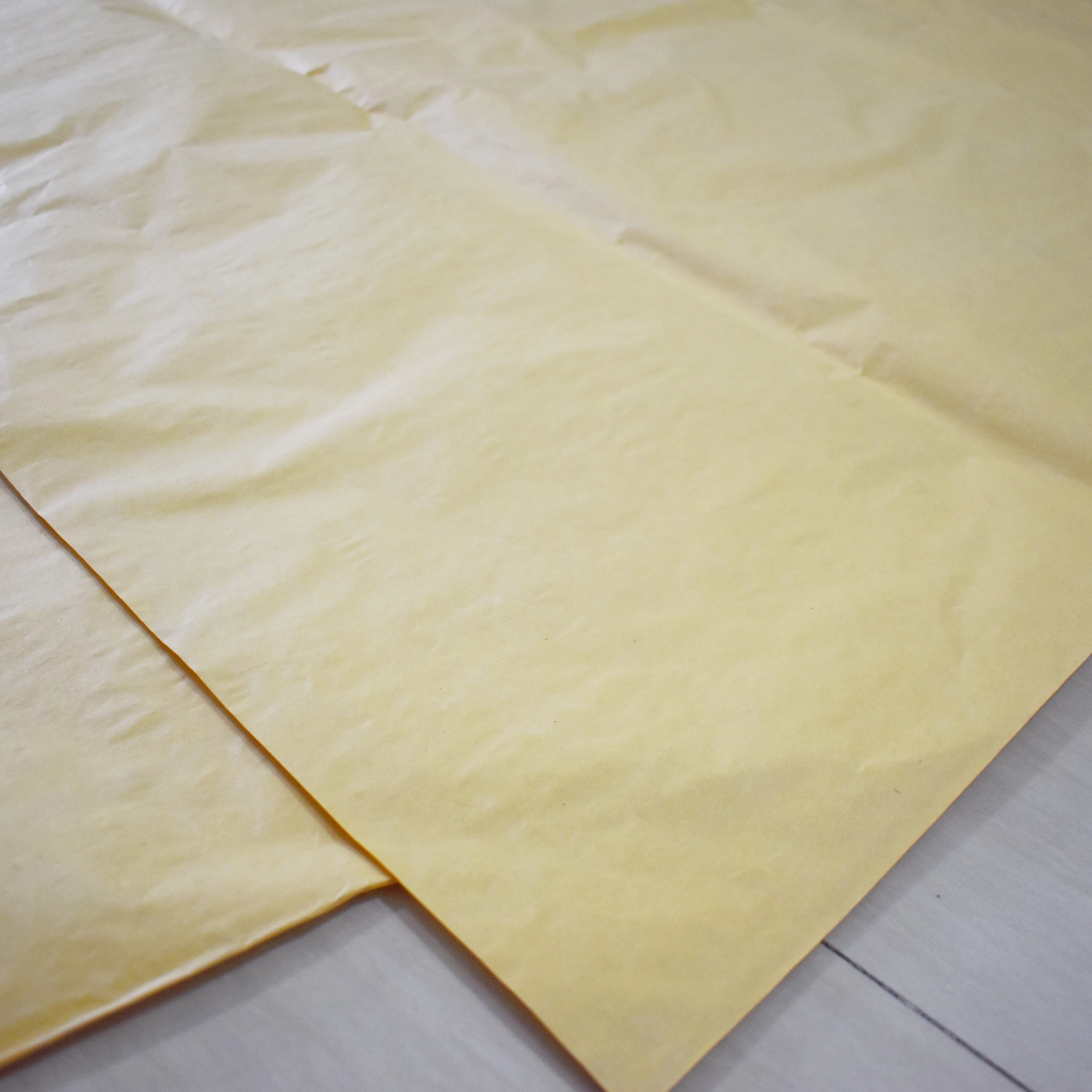 Colorful Fruit Protection Bags To Protect Fruit On Trees